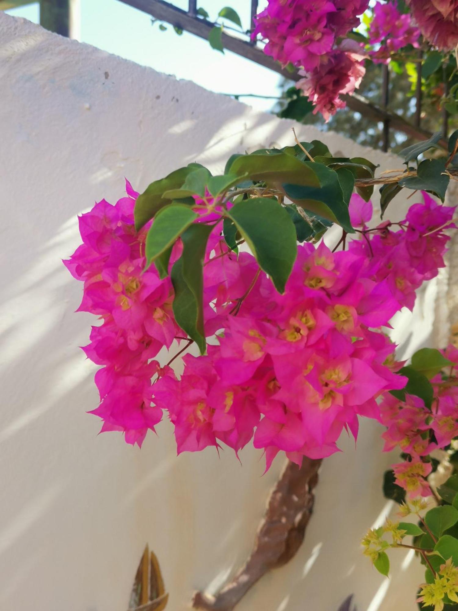 Eden Guesthouse Sardina Екстер'єр фото